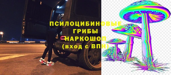героин Богданович