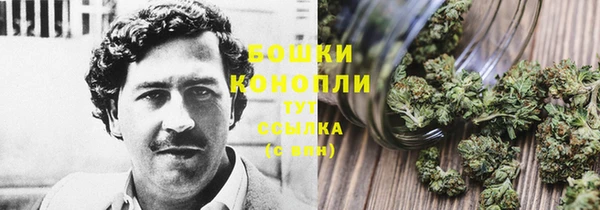 героин Богданович