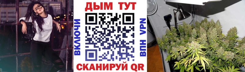 Конопля THC 21%  Купить где  Вышний Волочёк 